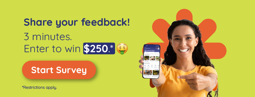 Survey Promo