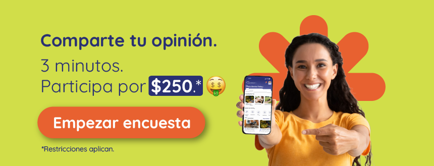 Survey Promo