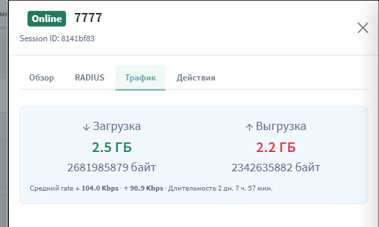Панель сессии — «Трафик»