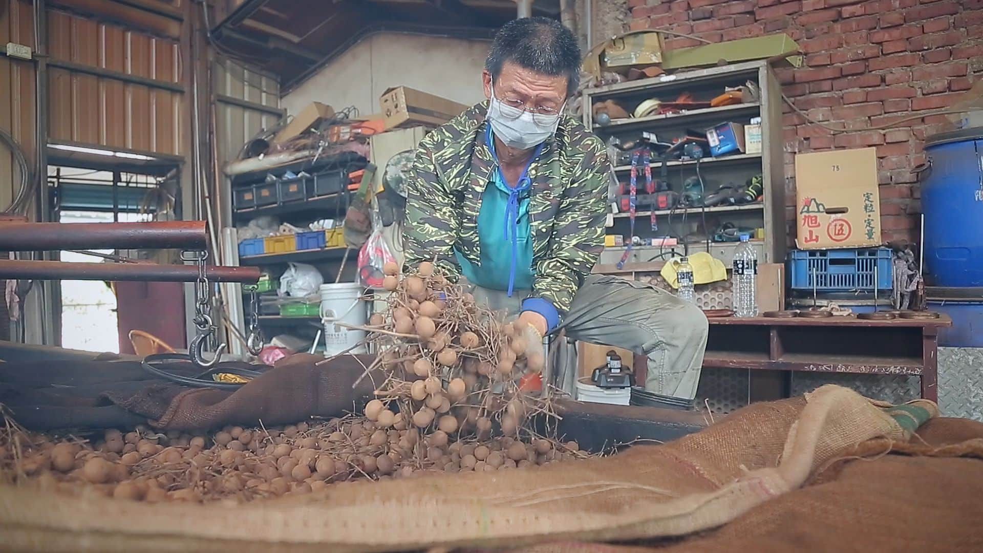 堅持傳統烤焙技法 柴焙桂圓成流淚的美味