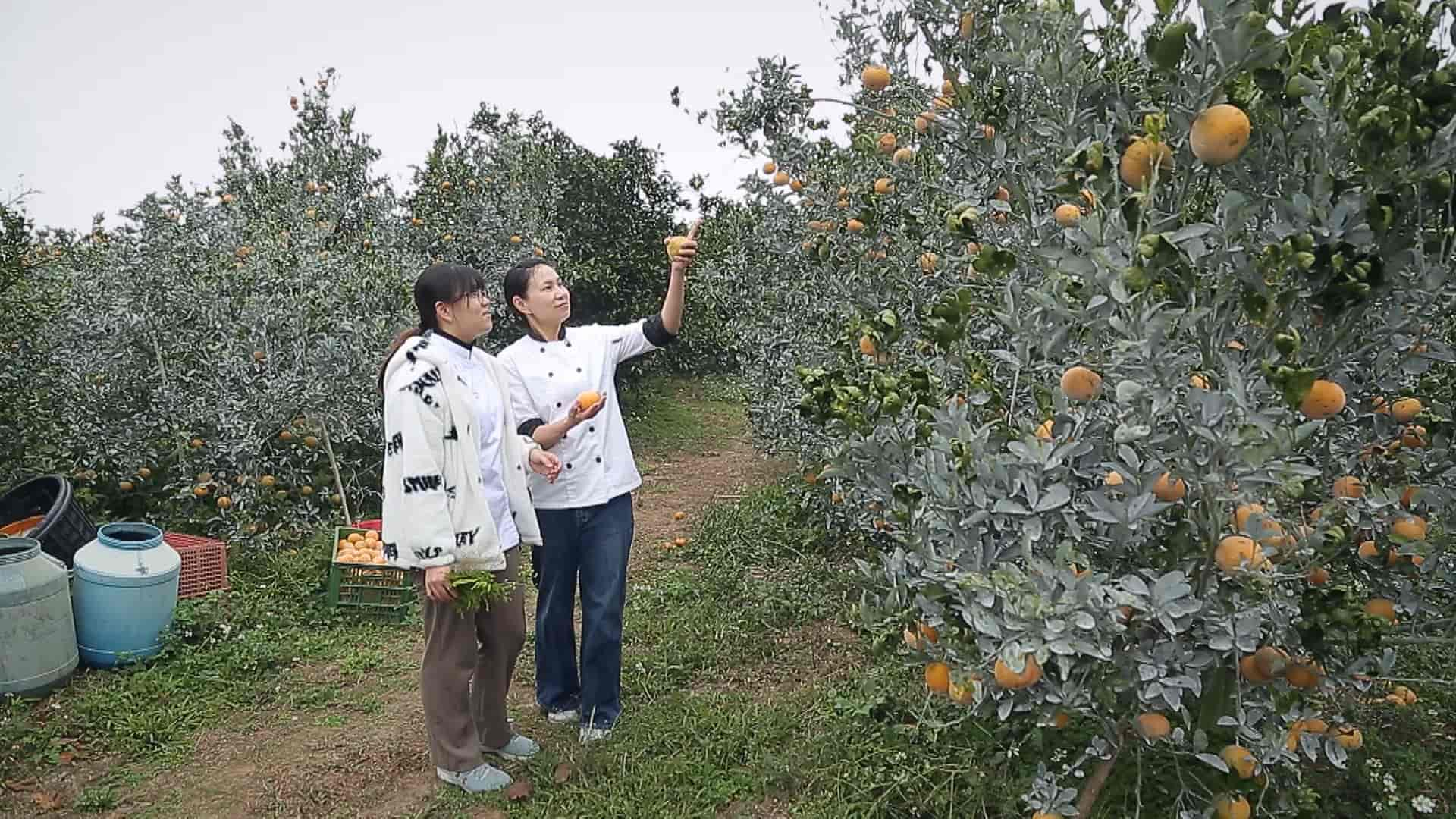 母女檔製“精品果醬” 推家鄉水果上國際