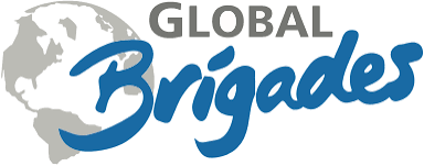 The Global Medical & Dental Brigades at UTD logo