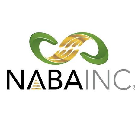 National Association of Black Accountants logo