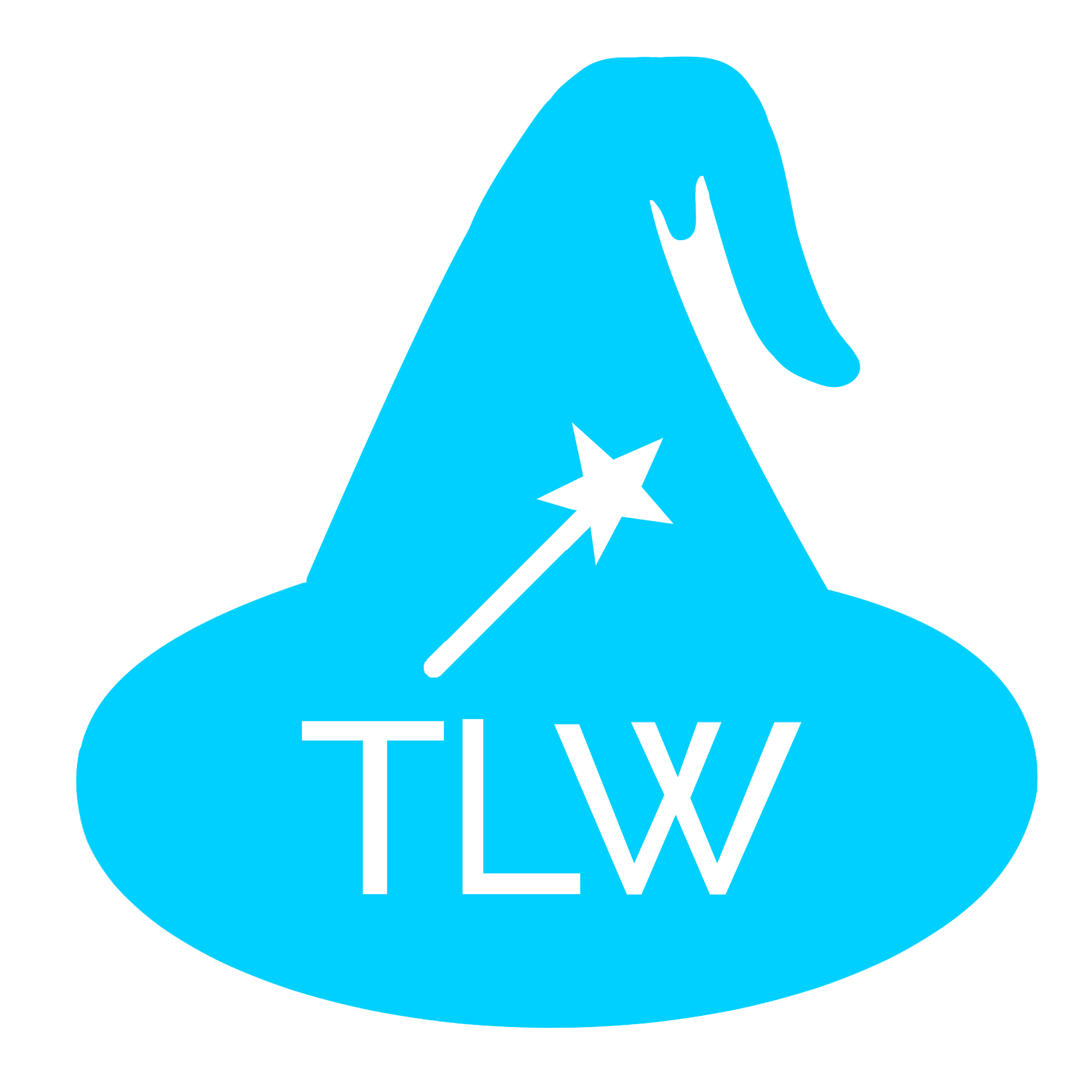 Teen Learning Wizards logo