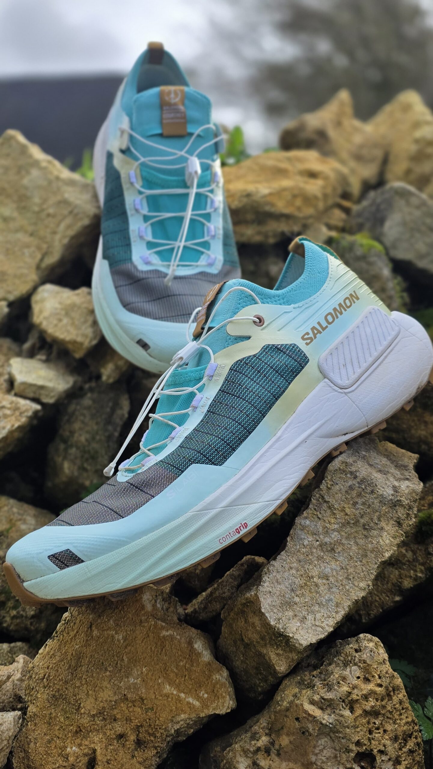 chaussure Salomon S-Lab Genesis