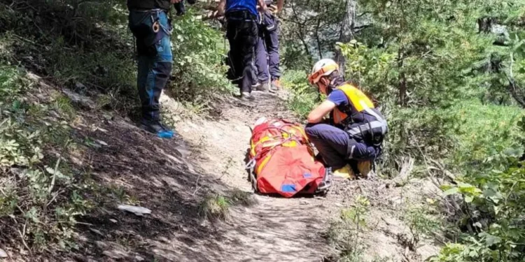 Chasse : premier décès de la saison, ‘âge de la victime pose question