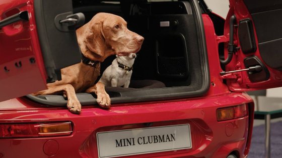 Clubman