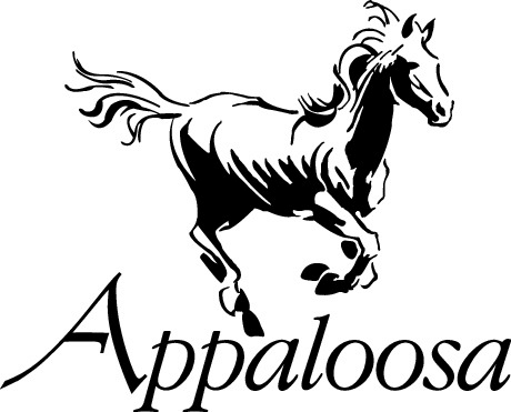 APPALOOSA LP