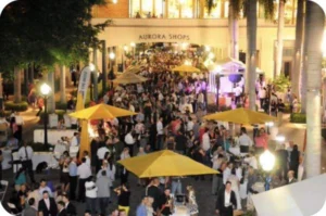crowd at outdoor event