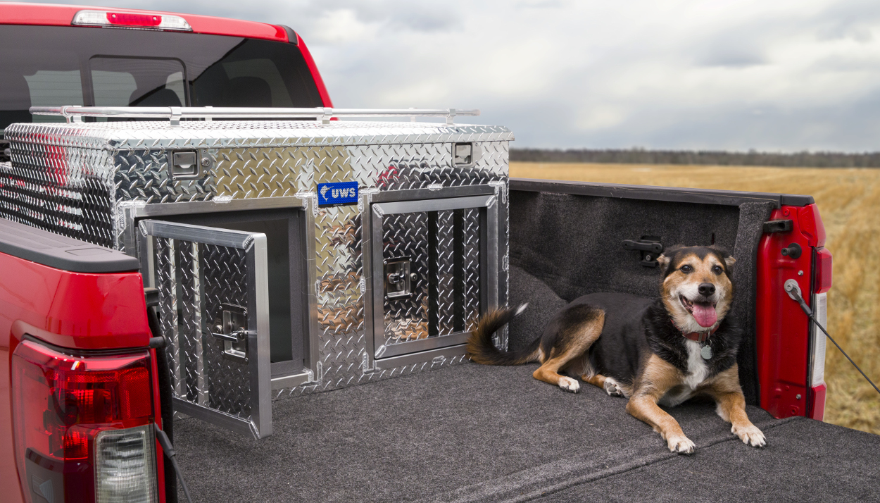 Dog boxes shop for pickups