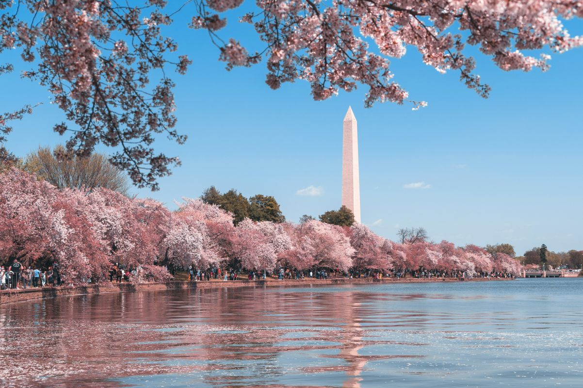 UXDX Community: Washington, DC