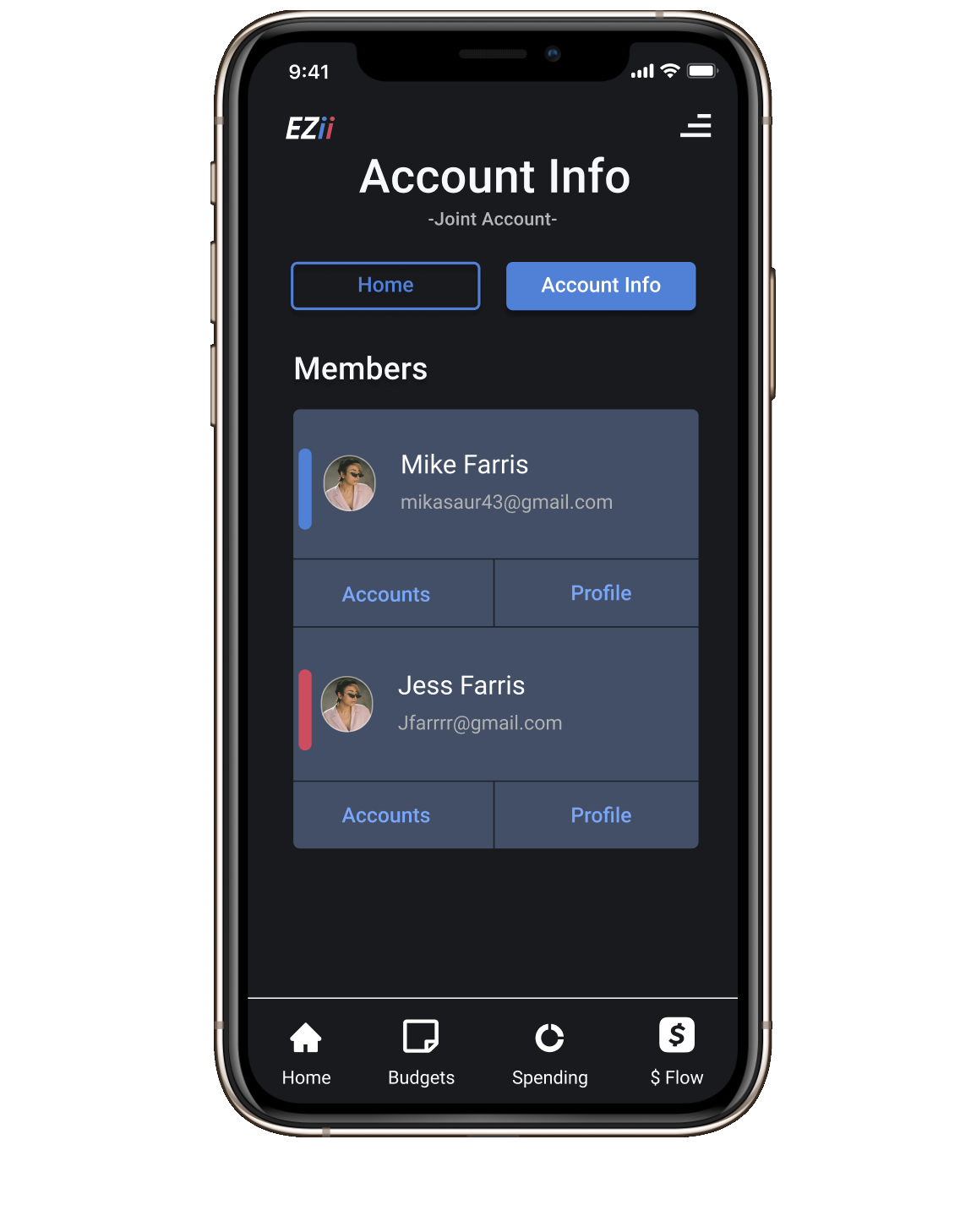 EZii: Envisioning a  multiple user finance app