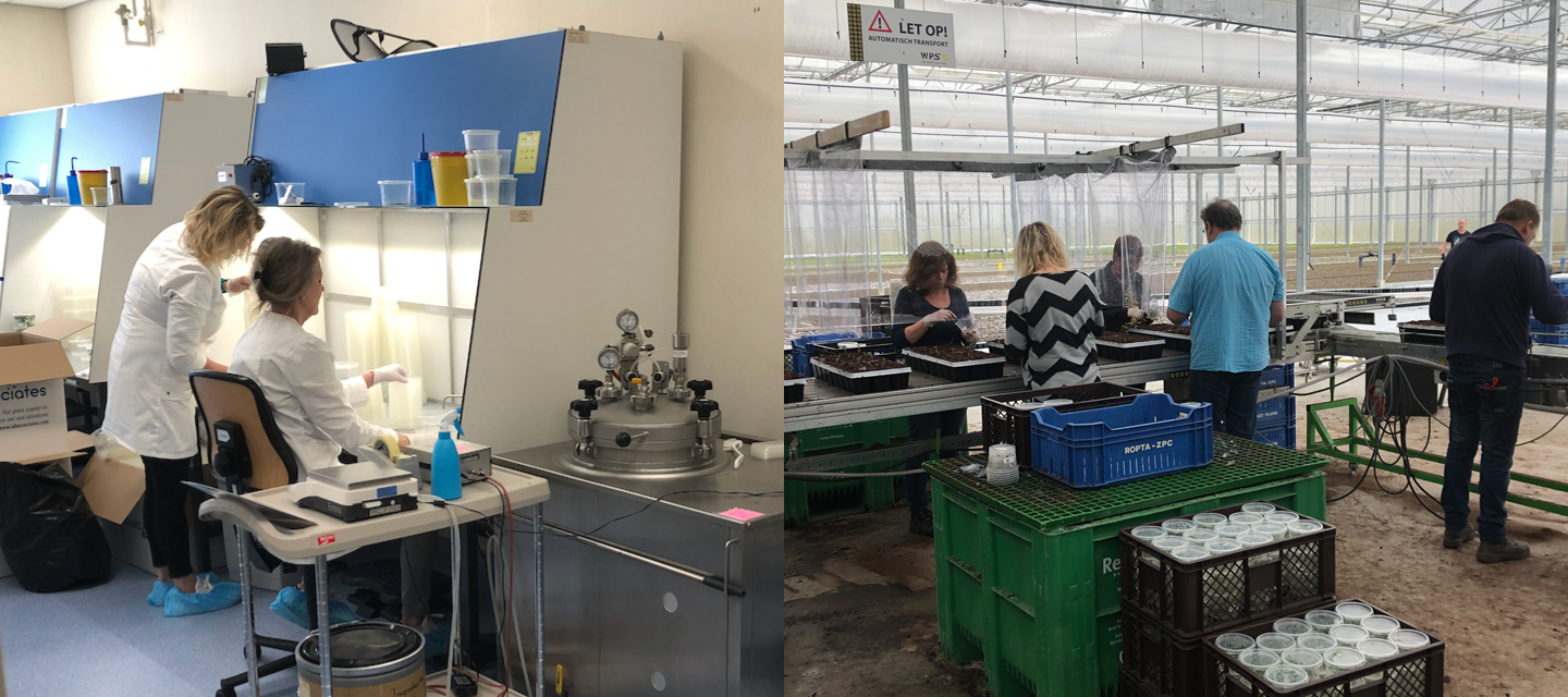 Het volledige productieproces plannen & volgen
