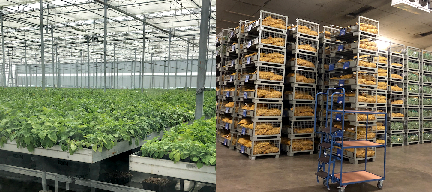 Het volledige productieproces plannen & volgen