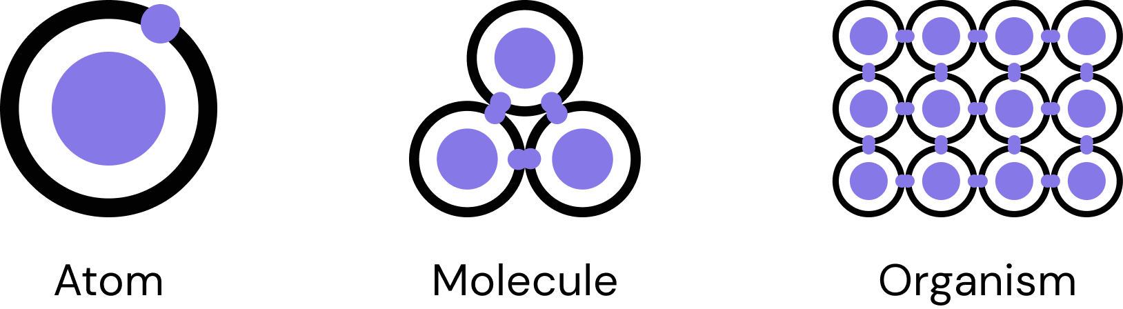 Building a design system: Givelify Analytics Studio
