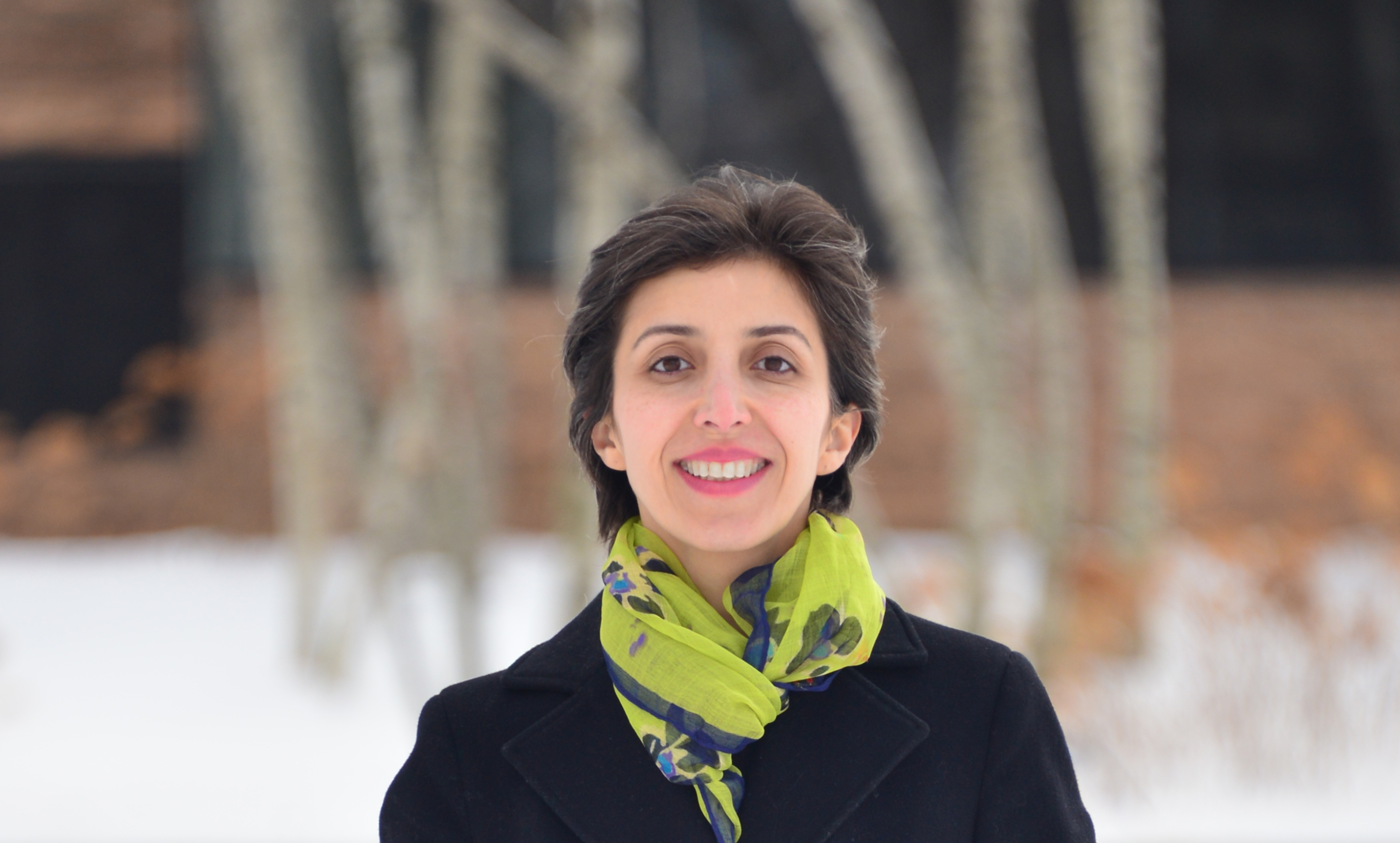 Sanaz's Portfolio About