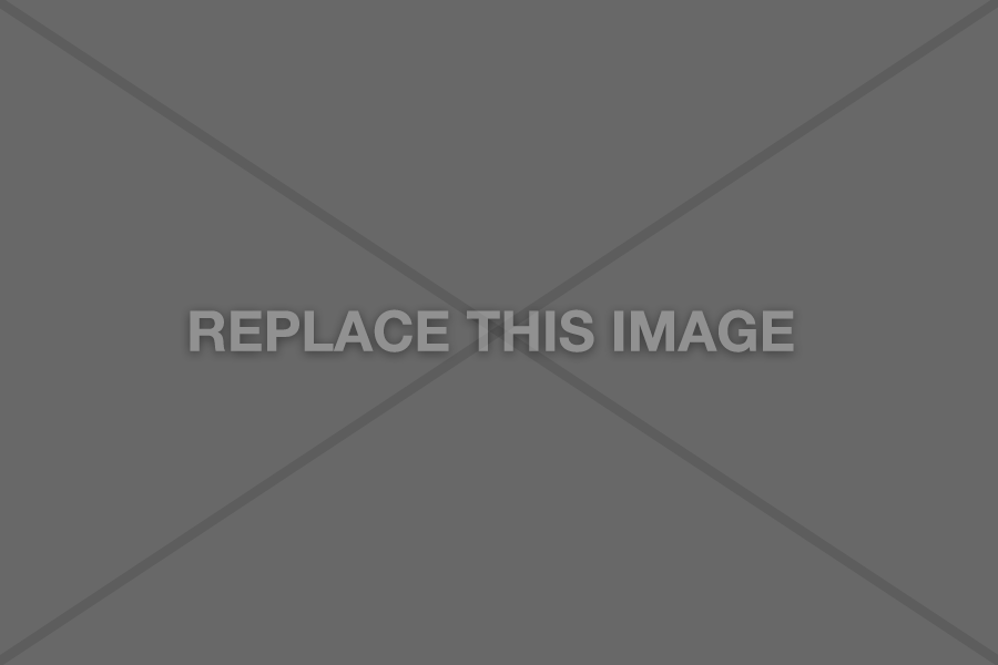 Image gallery item