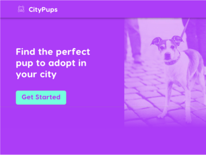 CityPups