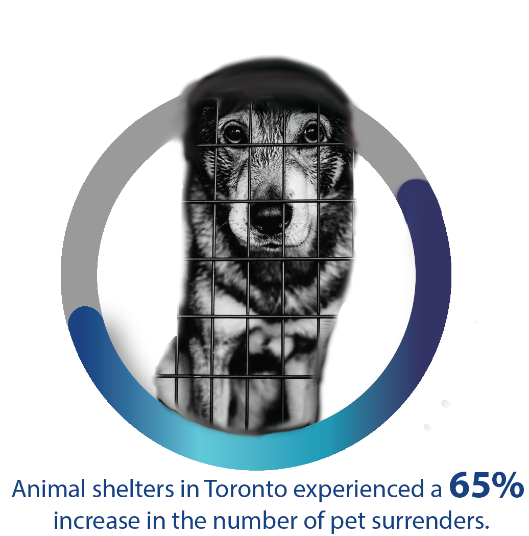PetPaths