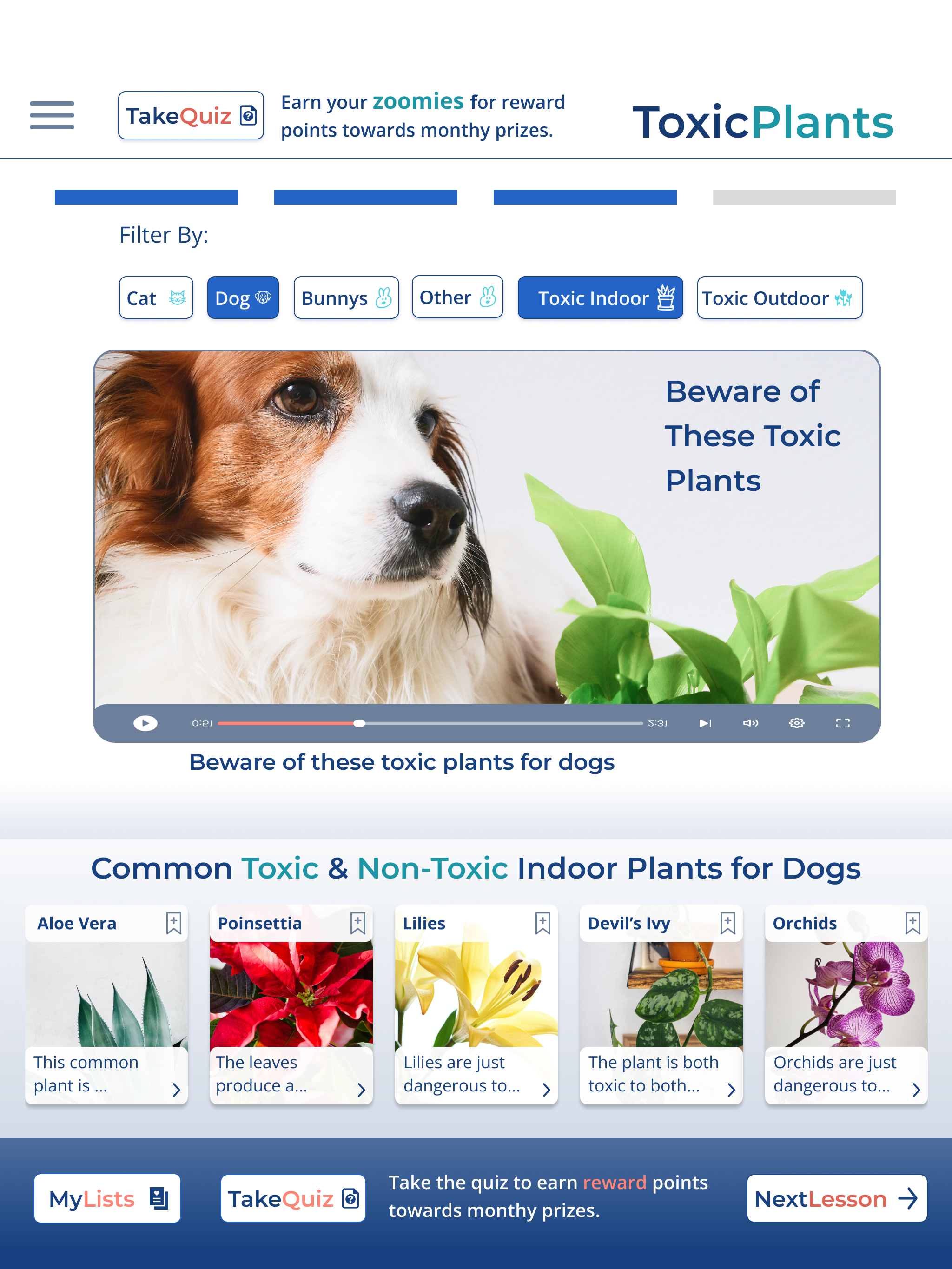 PetPaths