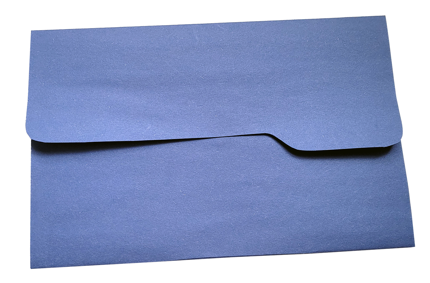 Image gallery item