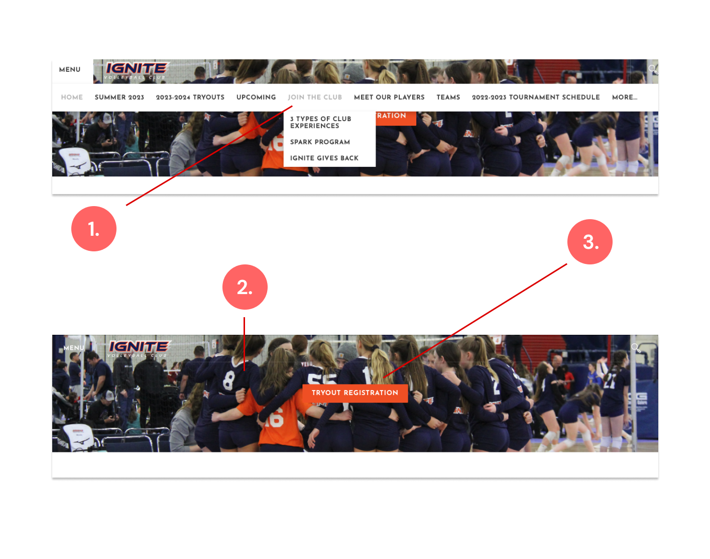 Image alt tag