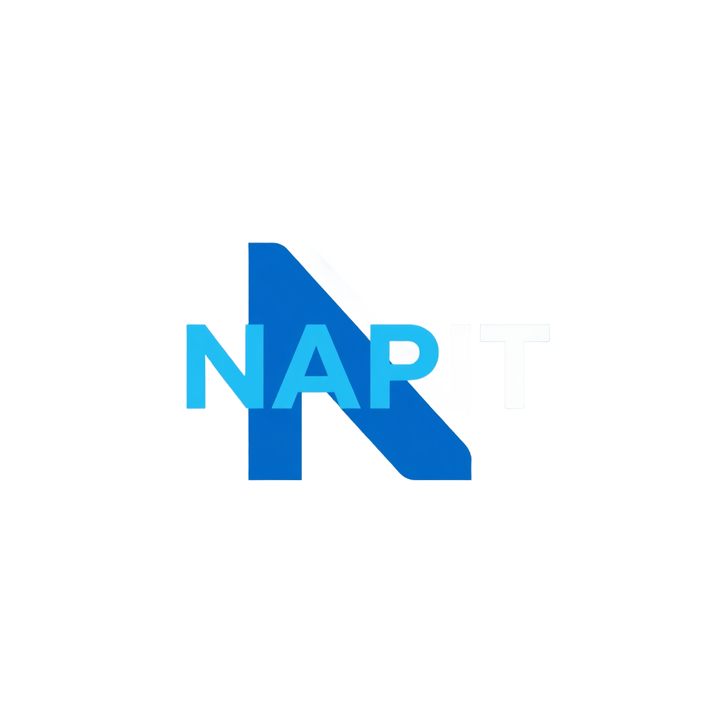 NAPIT logo blue and white minimalist