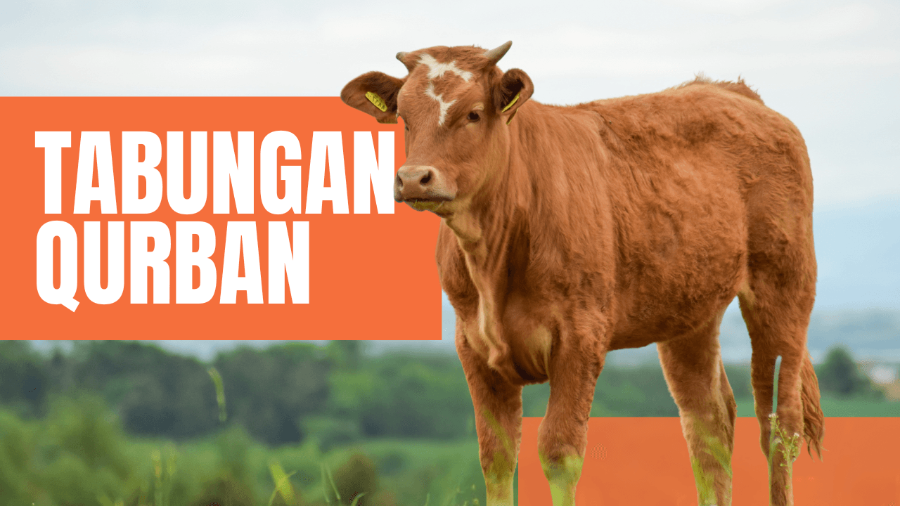 Tabungan Qurban
