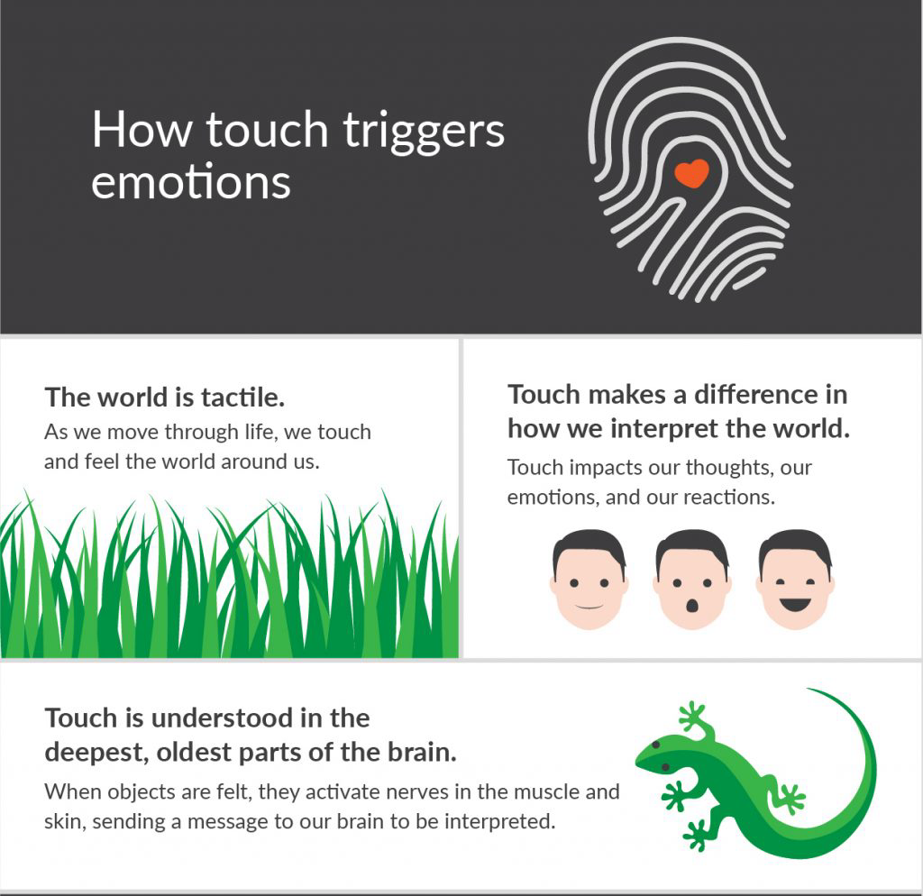 Infographic of the human brain and haptic feedback
