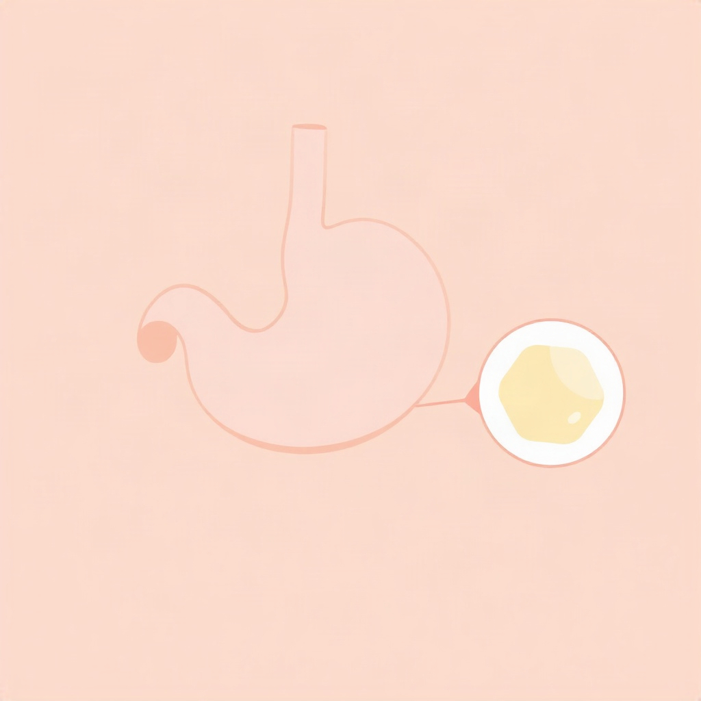 simple scientific illustration of a stomach and digestive tract with soluble fiber gel slowing diges