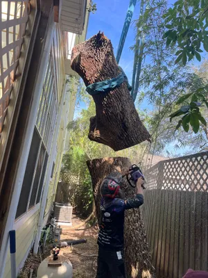 Climbing