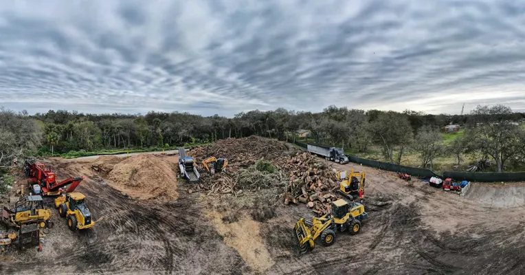 Tree project