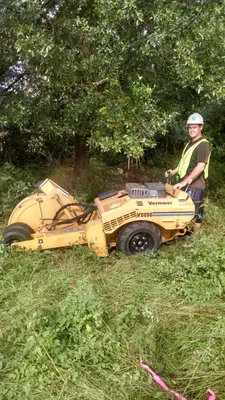 Stump grinding