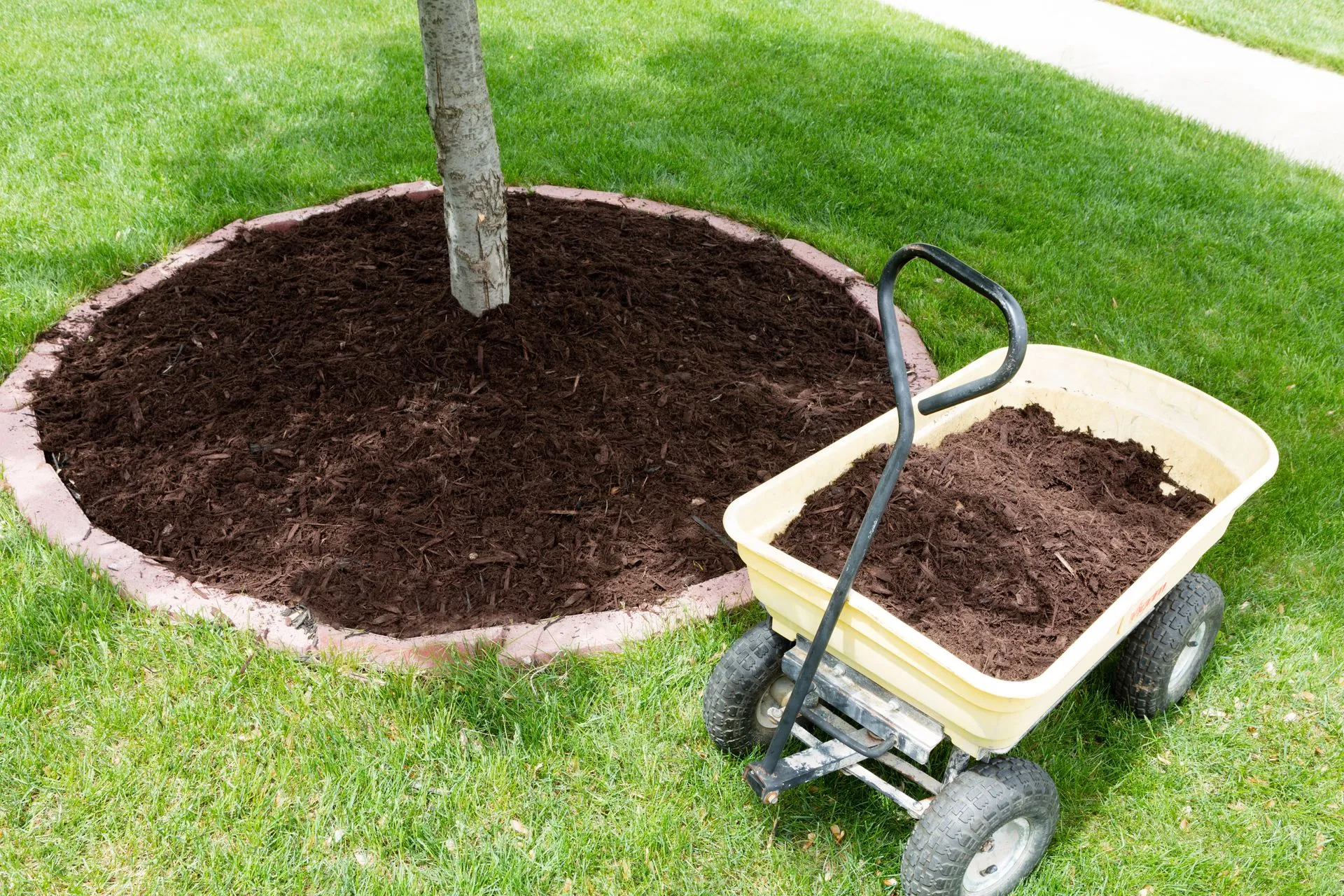 Mulch in Wheelbarrow