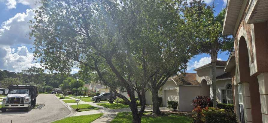 Florida Department of Environmental Protection