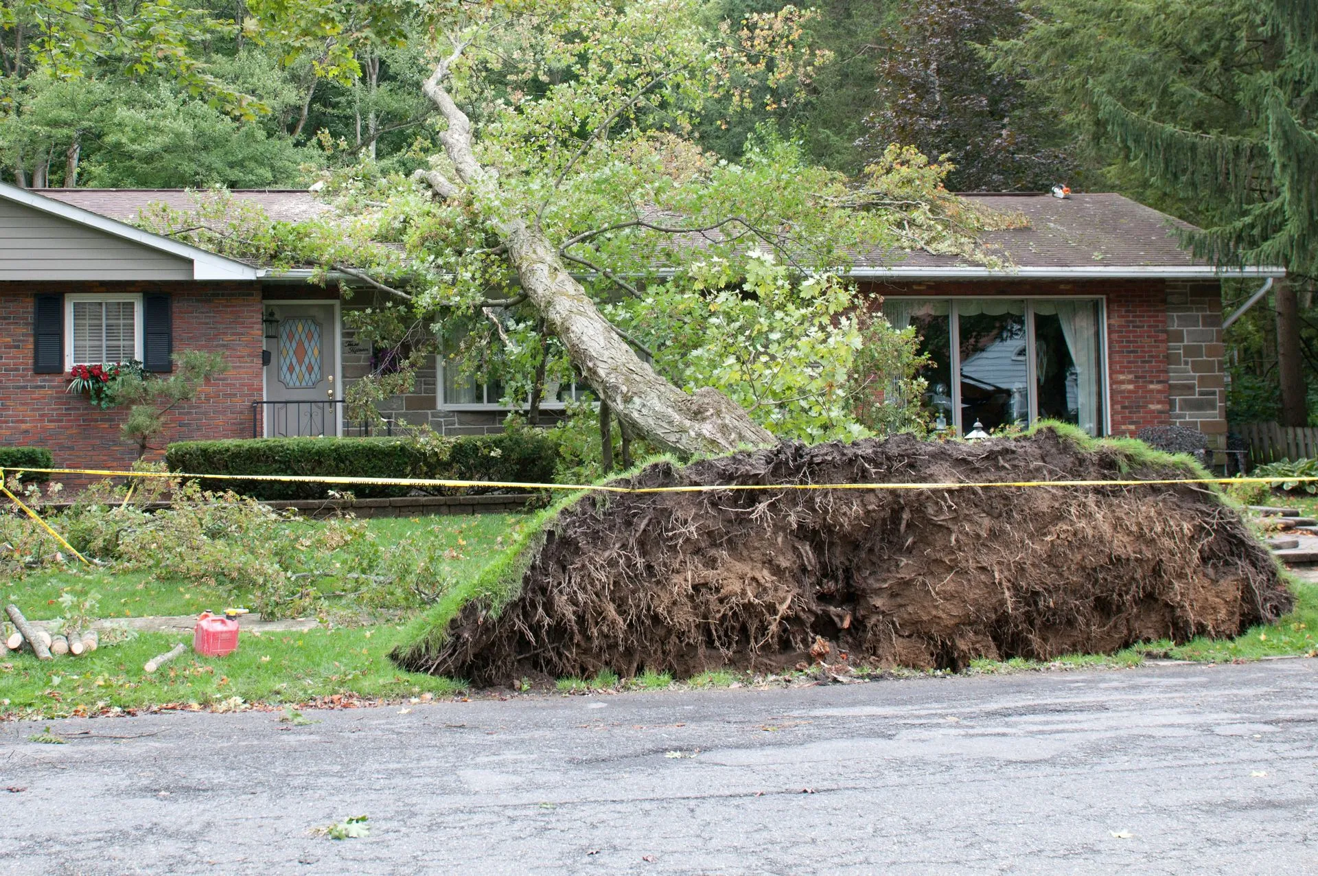 Tree Service Hero