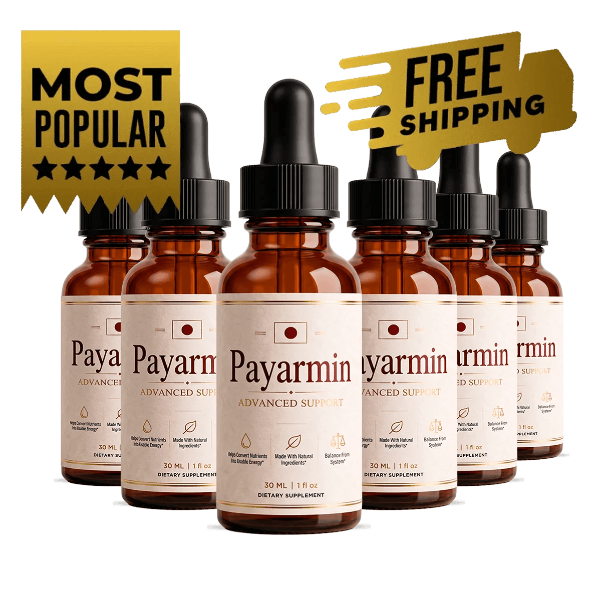 Six amber glass dropper bottles of Payarmin Advanced Support supplement arranged neatly in two rows,