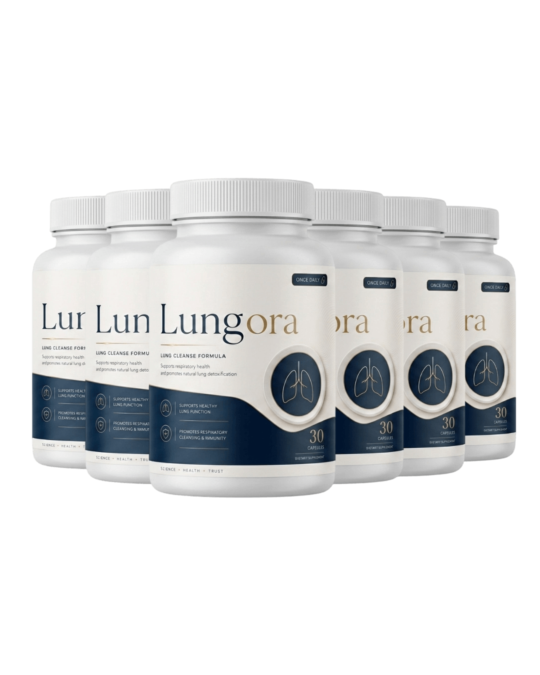 six Lungora supplement bottles arranged in two rows, teal and gold label, product photography on whi