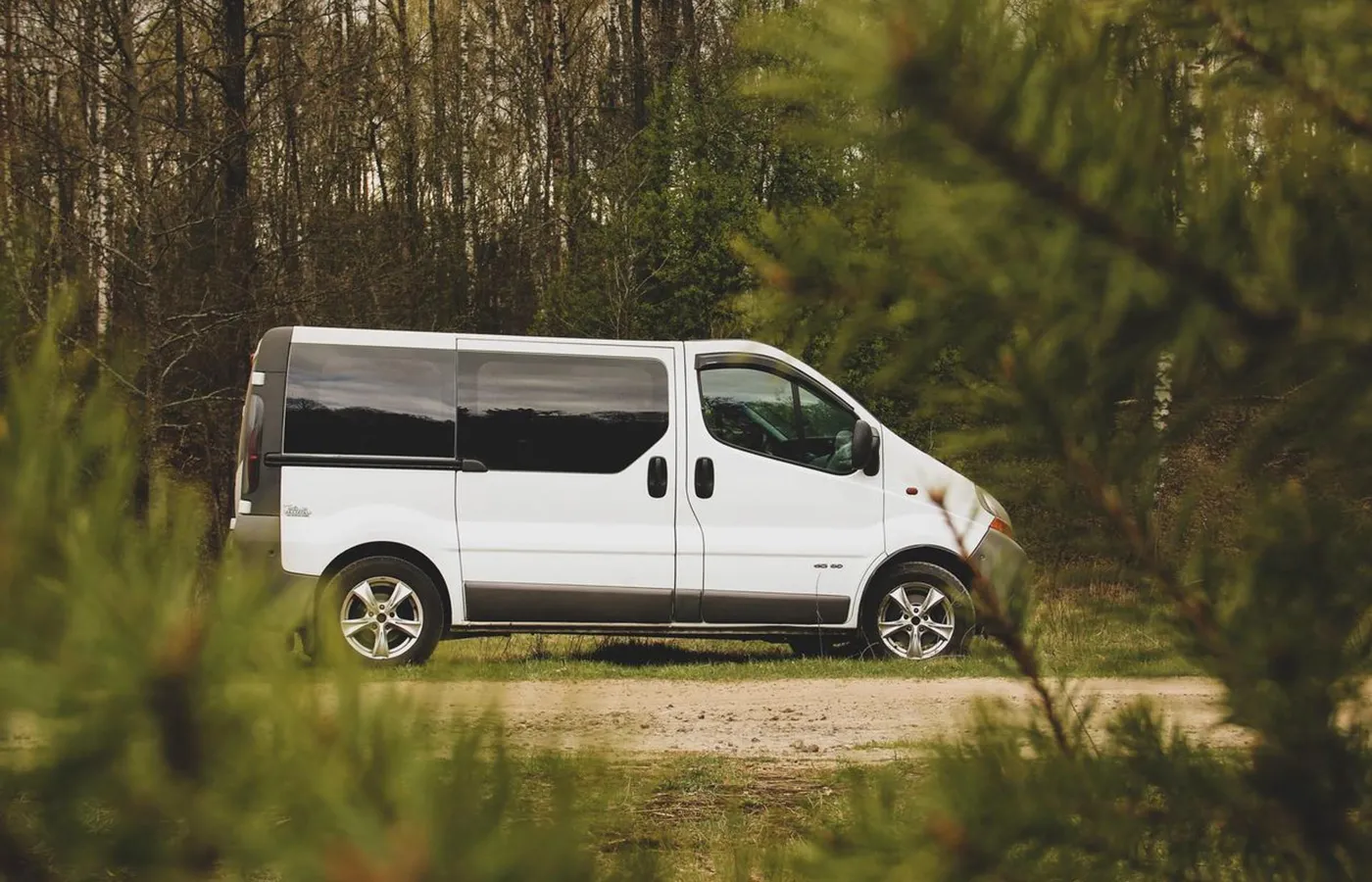 minibus Renault w lesie