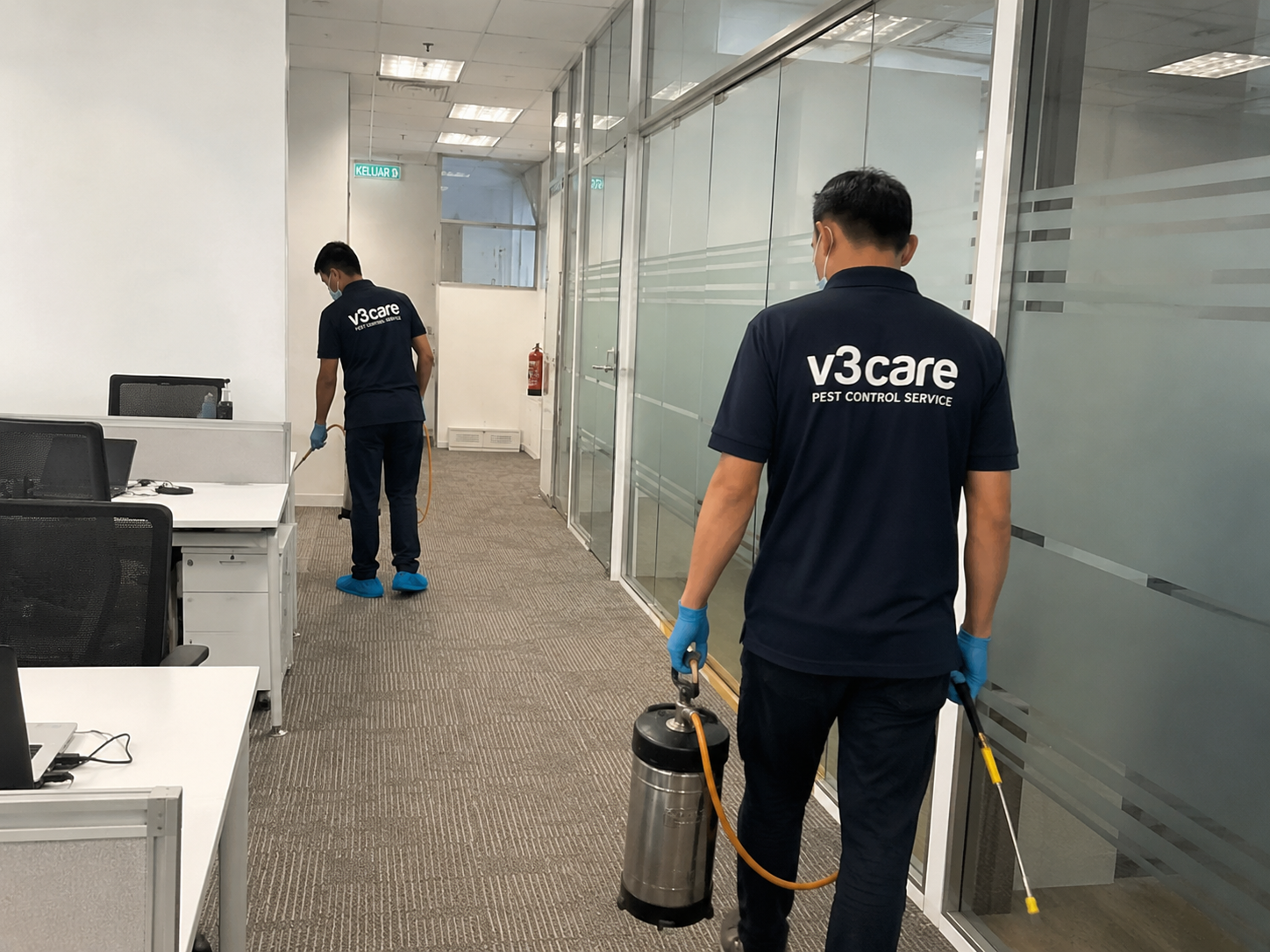 General Pest Control in Bengaluru