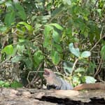 Vacantes de Data Scientist + senior + Remoto | Vacantes Digitales