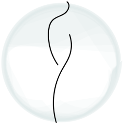 Logo Fysiotherapie Birthe joanne