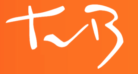Logo Fysiotherapie Teding van Berkhout