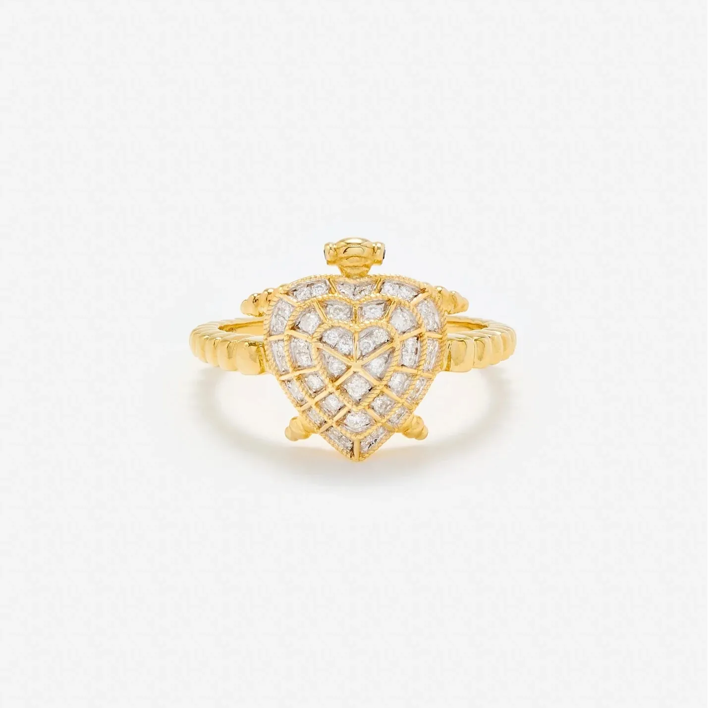 the Kurma ring