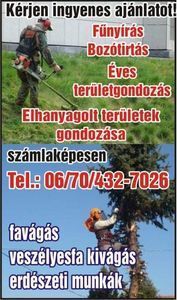 nemeth--szabolcs-