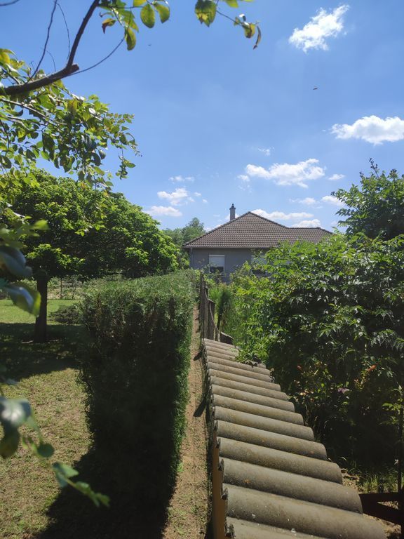 Sövényvágás 