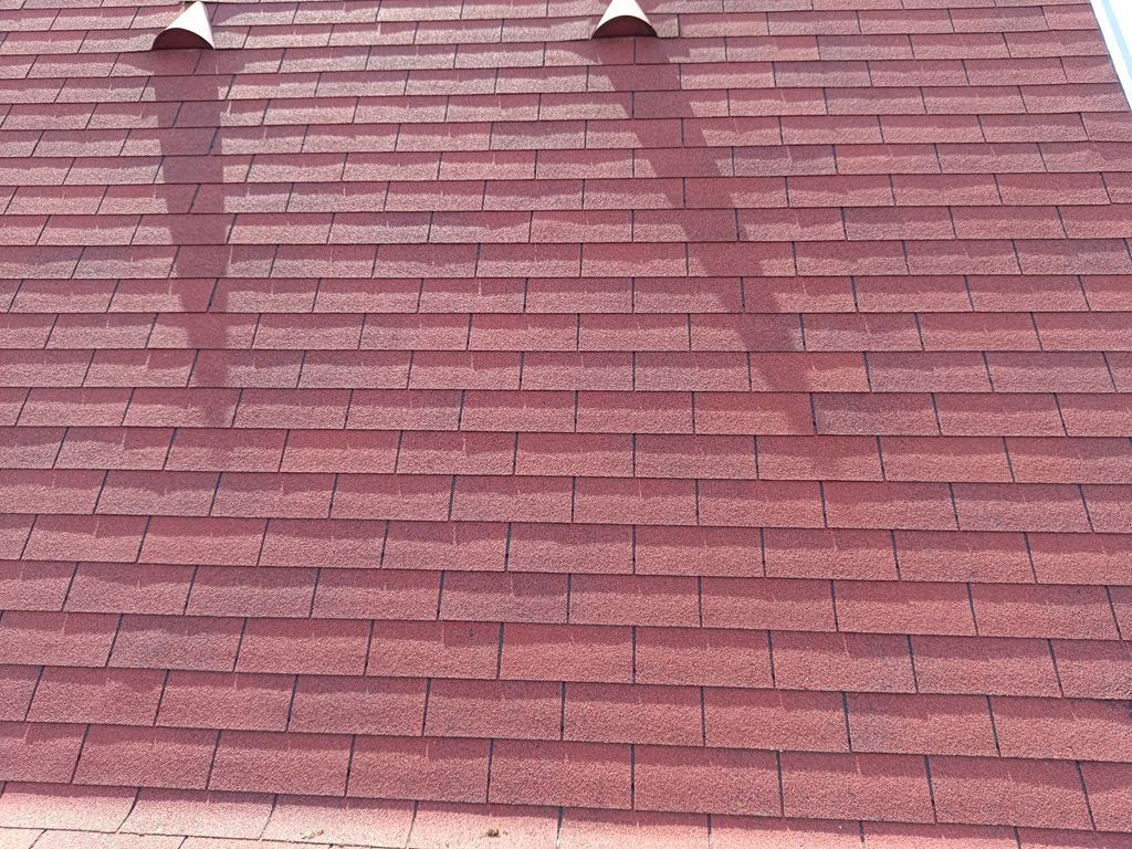 Zsindelyes-tet--fed-s