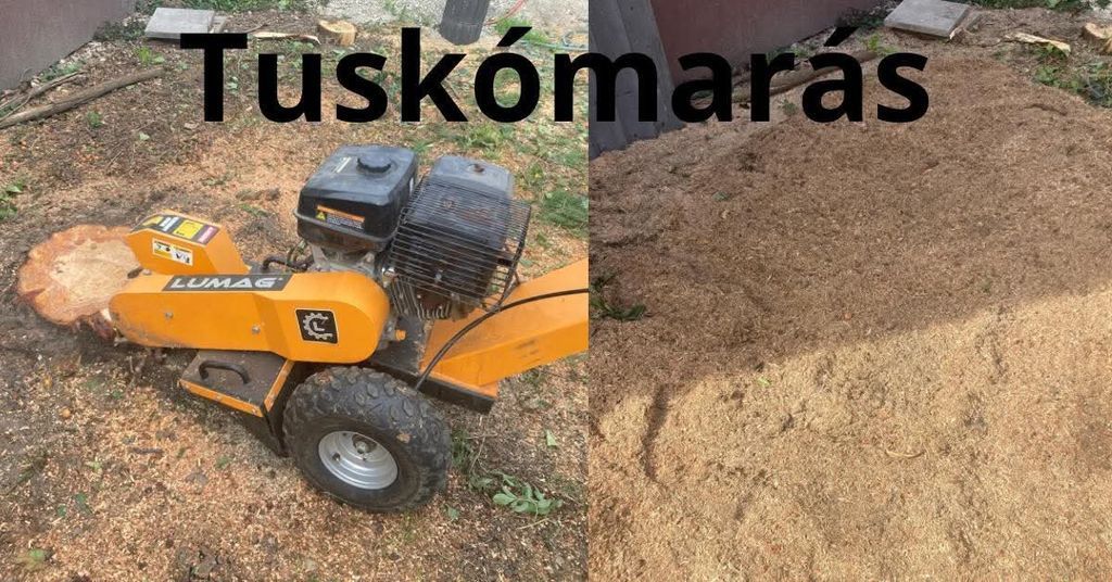Tusk-mar-s
