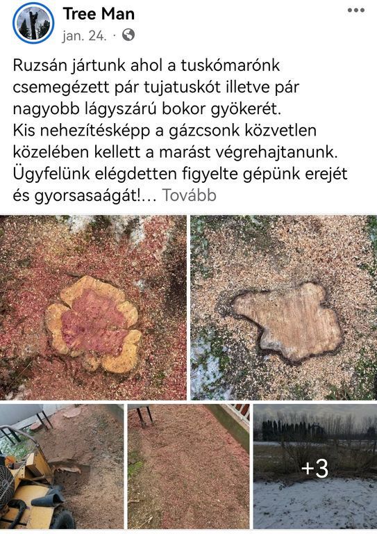 Ruzsai tuskómarás