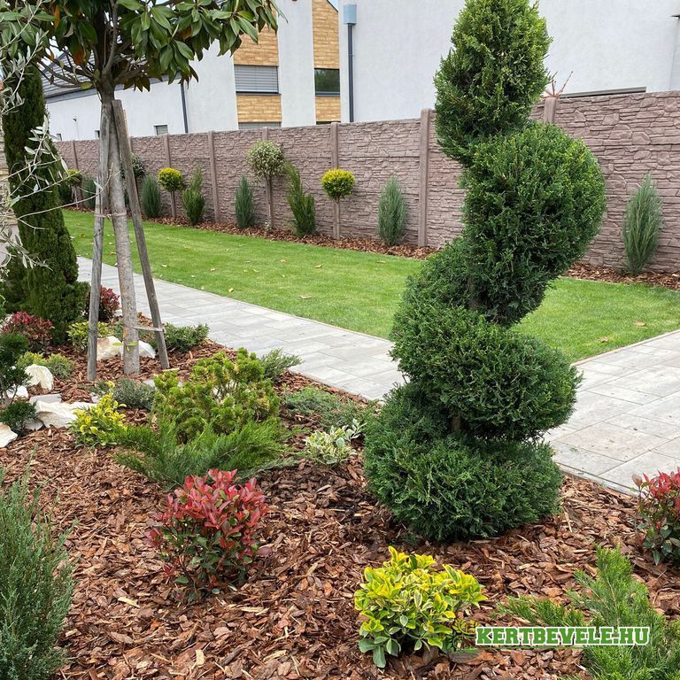 Kert-p-t-s--s-n-v-nyek--ltet-se